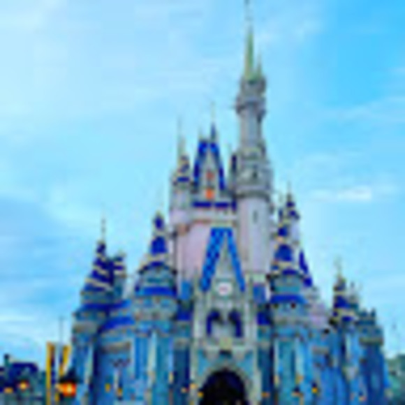 Meet your Posher, Sophia - Picture 1 of 1